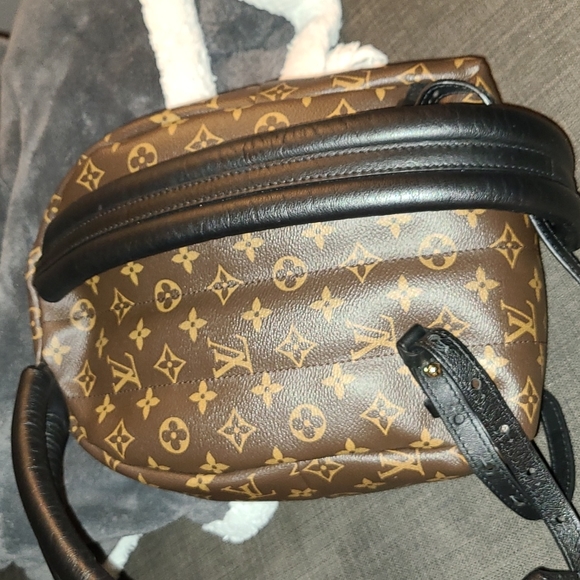 Louis Vuitton Palm Springs Backpack PM - Picture 11 of 13
